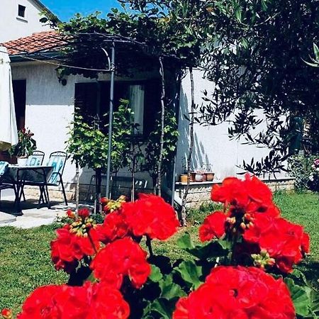 Studio Benassi Poreč Dış mekan fotoğraf